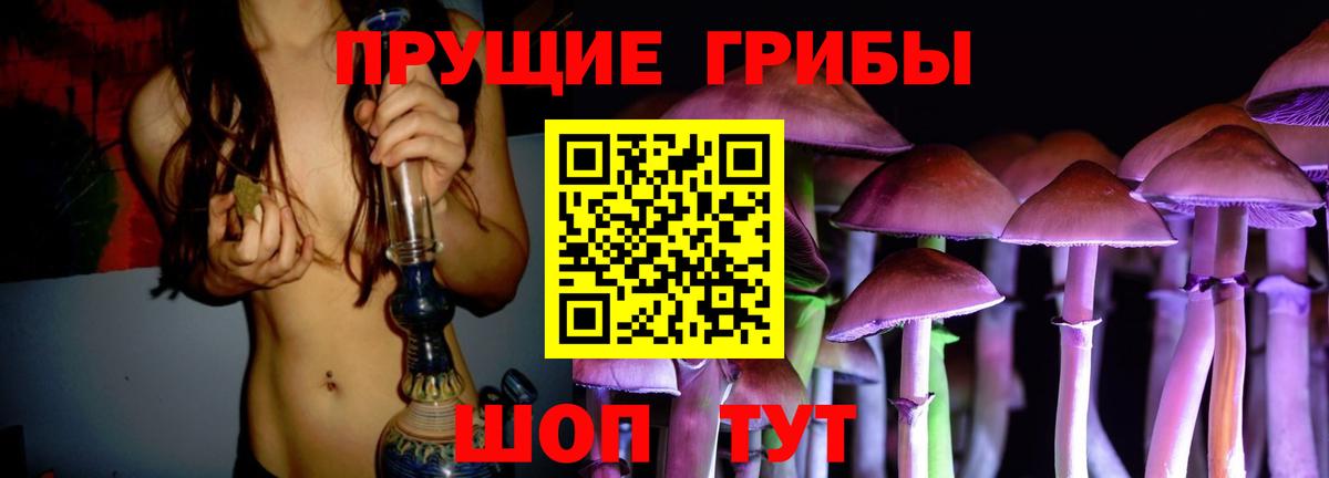 Богородицк  Псилоцибиновые грибы MAGIC MUSHROOMS  Вход с VPN 